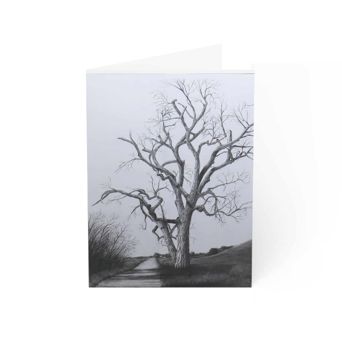 Greeting Cards (1, 10, 30, and 50pcs)