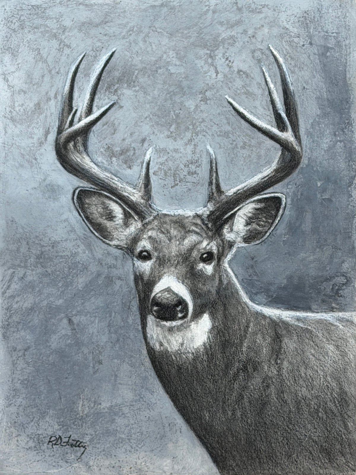 Watcher I – original charcoal on board, 9x12, whitetail buck portrait by Roger Fattig
